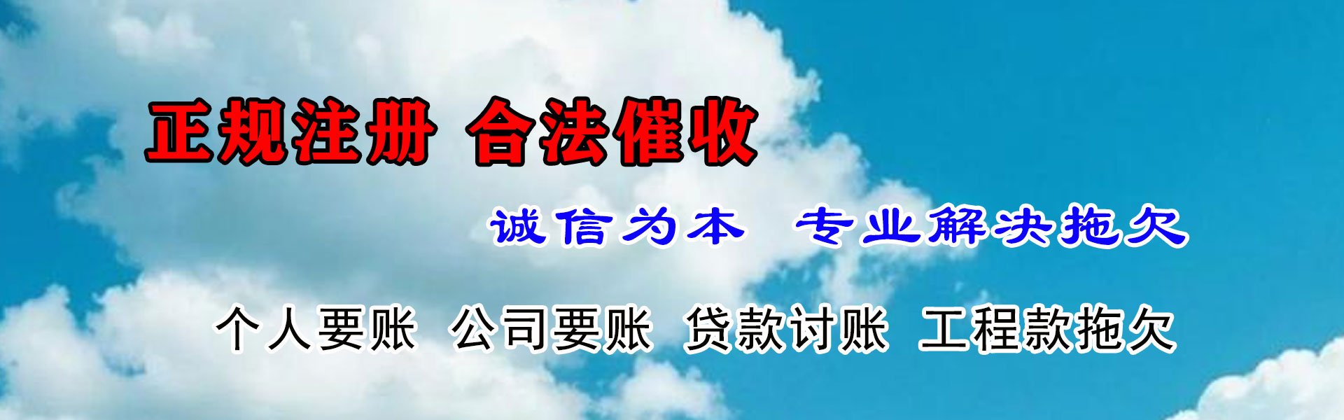 临泉追数公司